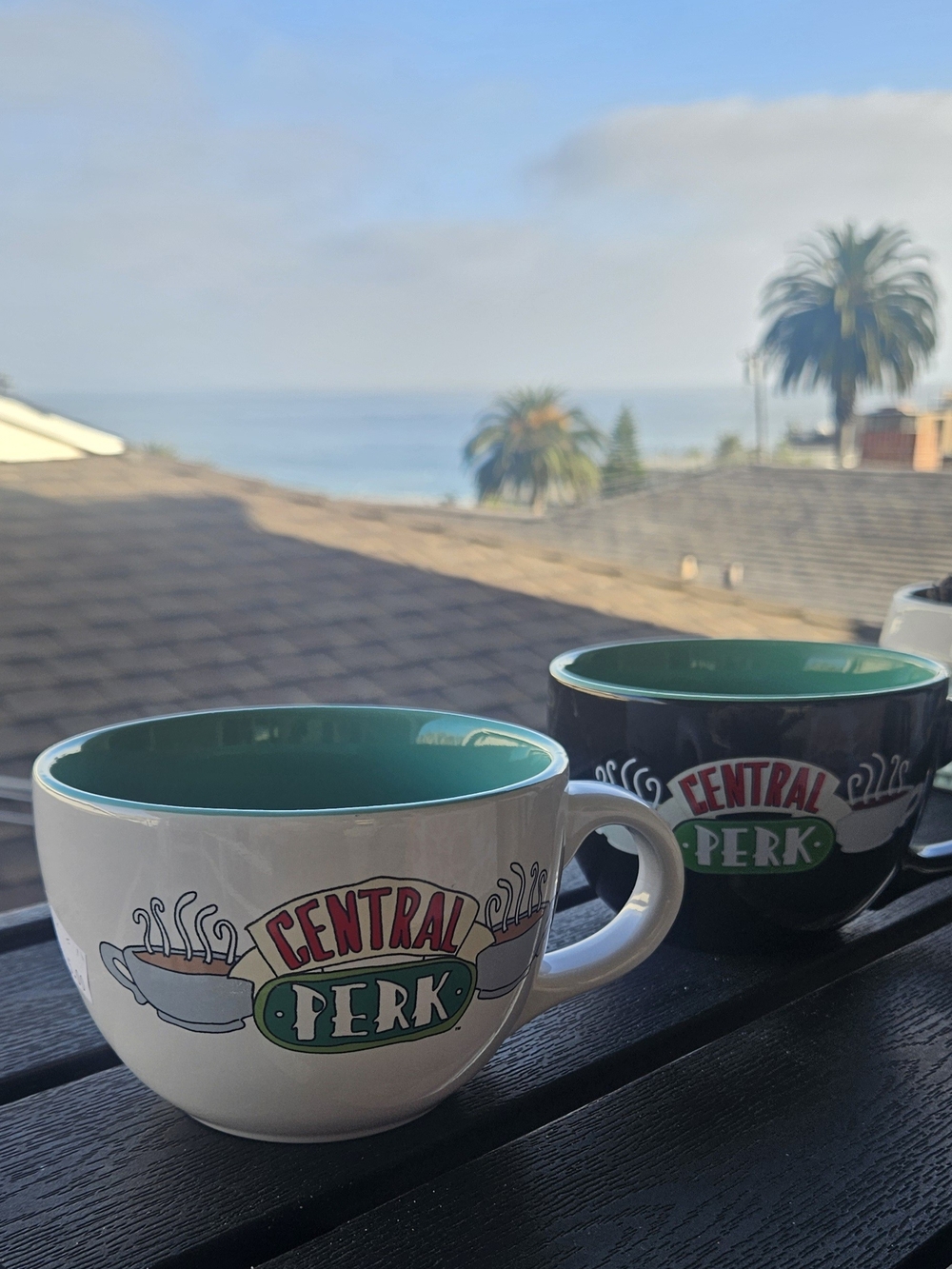 Central Perk Ceramic Mug with Green Interior - White Exterior